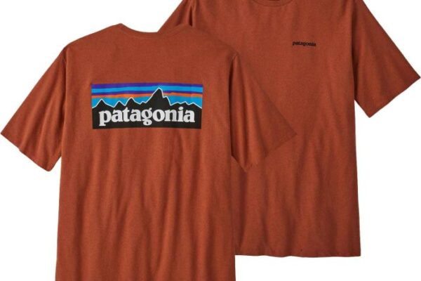 Patagonia men's dress shirt