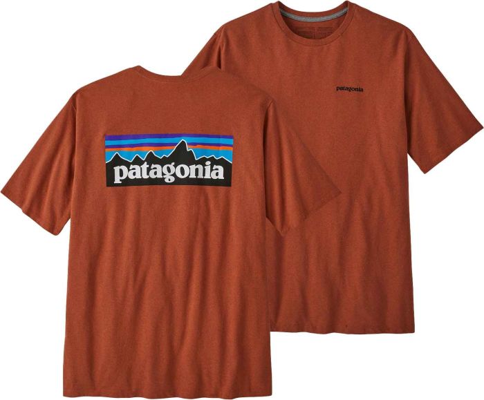 Patagonia men's dress shirt