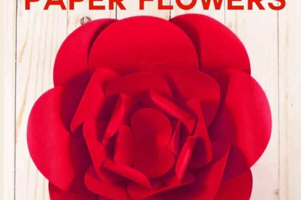 How to make big paper flowers for decoration